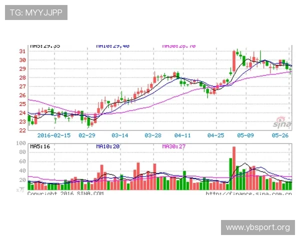 华体会最新动态解析与未来发展趋势全面深度报道